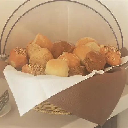 酒店 瑞士酒店